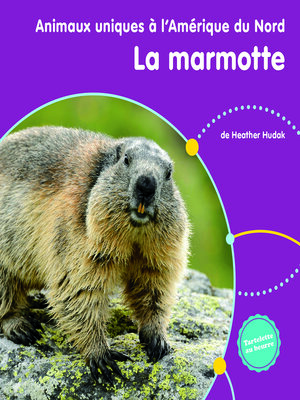 cover image of La marmotte d'Amérique